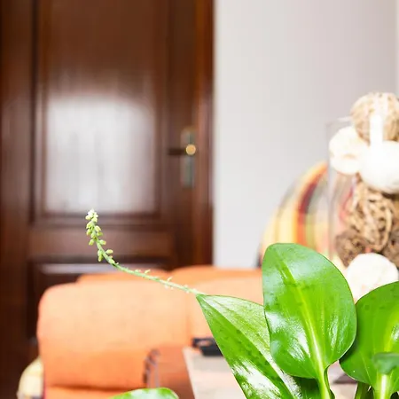 منزل للإقامة Margaret's Place *