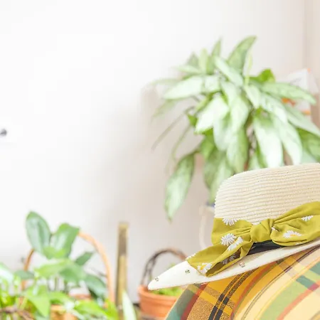 Margaret's Place Homestay