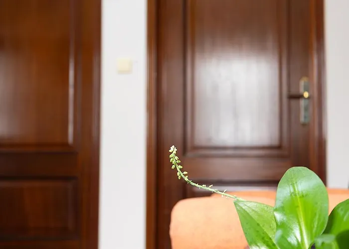 Margaret's Place منزل للإقامة *