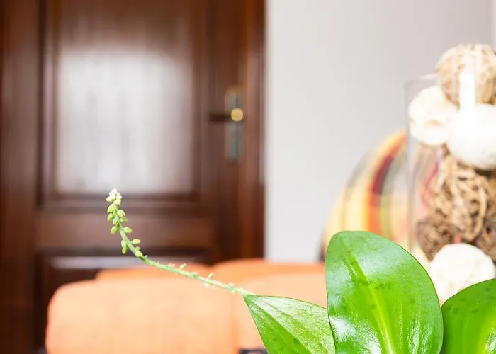 منزل للإقامة Margaret's Place *