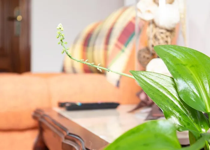 Margaret's Place فيلا فرانكا دو كامبو