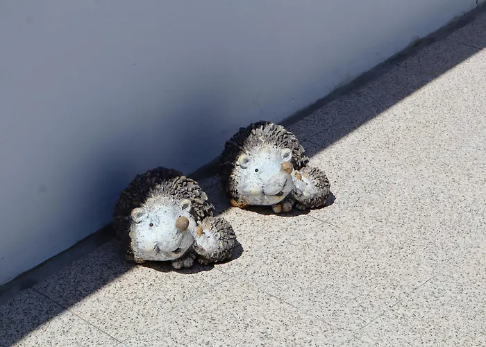 Margaret's Place * فيلا فرانكا دو كامبو